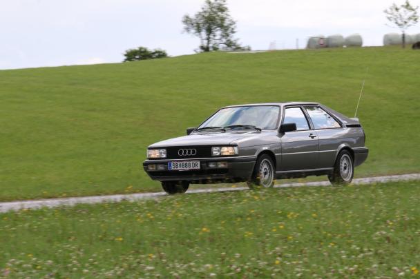 Foto Galerie 2025 2/3-28