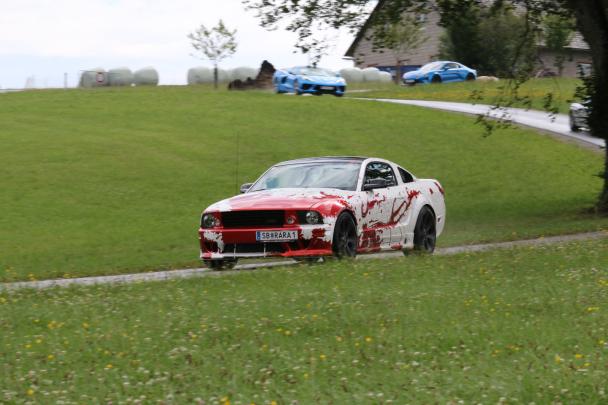 Foto Galerie 2025 2/3-30