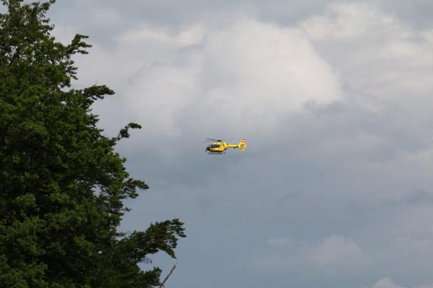 Foto Galerie 2025 2/3-36