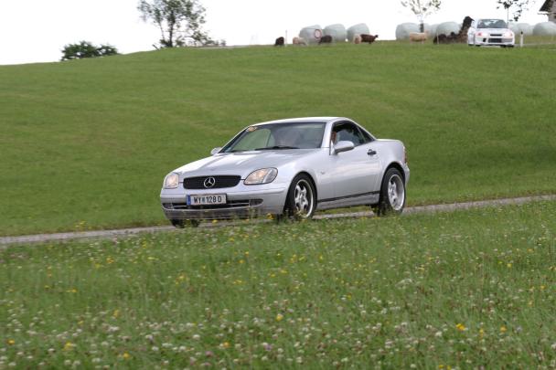 Foto Galerie 2025 2/3-49