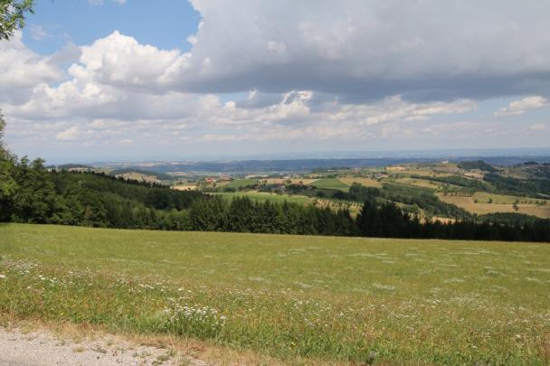 Foto Galerie 2026 Start - Etappe 1  - 1/2-43