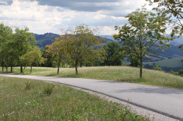 Foto Galerie 2026 Start - Etappe 1  - 1/2-44