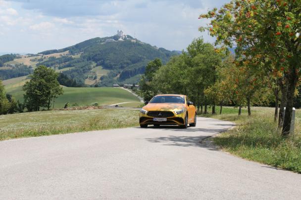 Foto Galerie 2026 Start - Etappe 1  - 1/2-50